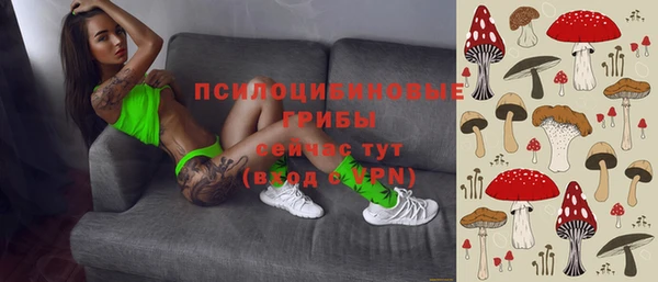 индика Касимов
