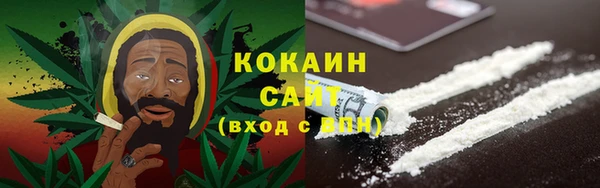 PSILOCYBIN Киренск