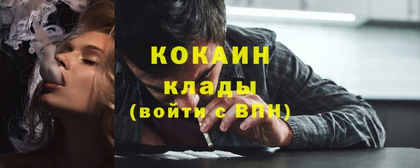 индика Касимов