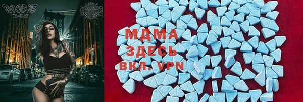 индика Касимов