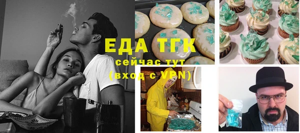 индика Касимов