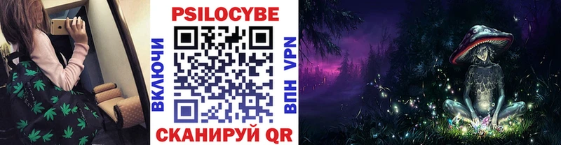 Купить где  Велиж  Псилоцибиновые грибы мицелий 
